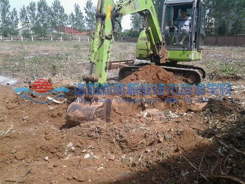 训练科目--挖树桩训练